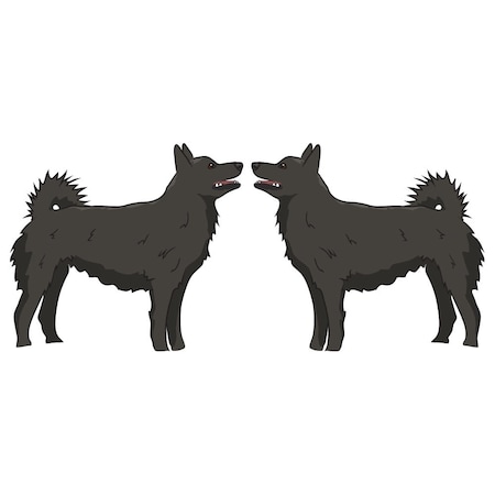 Signmission Schipperke Dog Decal, Dog Lover Decor Vinyl Sticker D-18-Schipperke